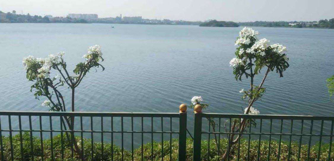 Yelahanka lake